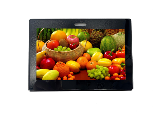 RGH 4,3 Zoll TFT LCD IPS Touchscreen 800 ((RGB) X 480 Auflösung 370cd/M2 Helligkeit